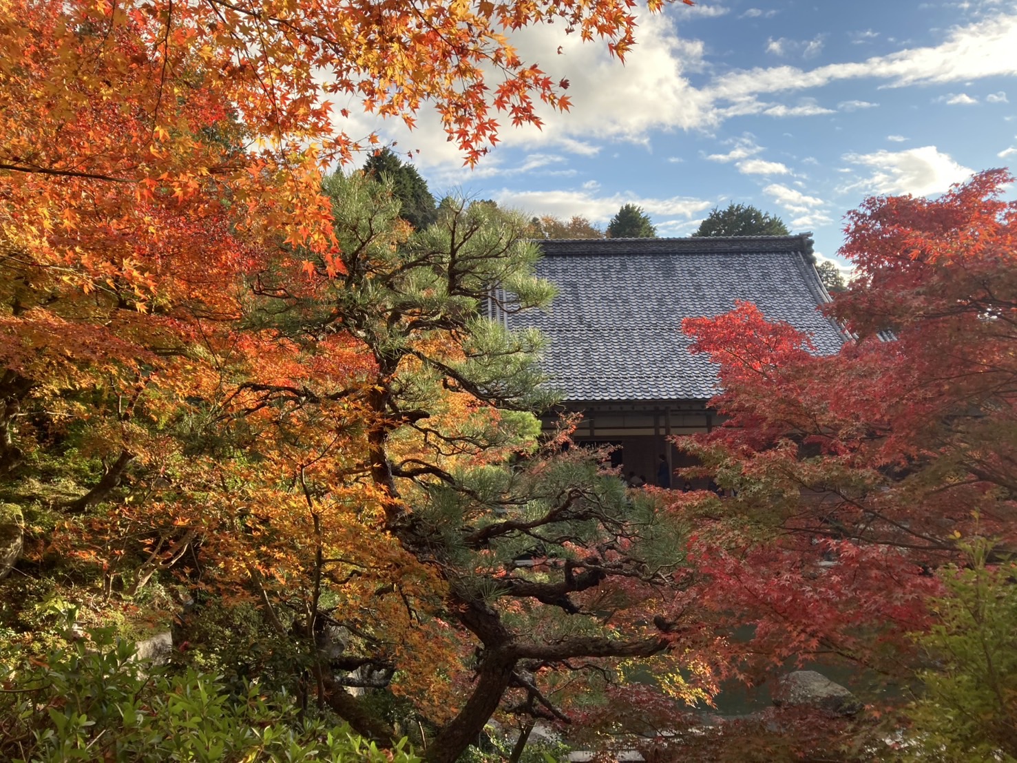 百済寺に行ってきました！