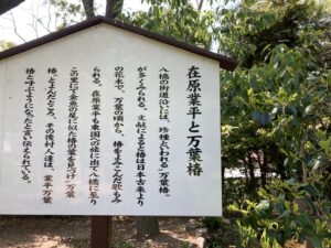 無量寿寺